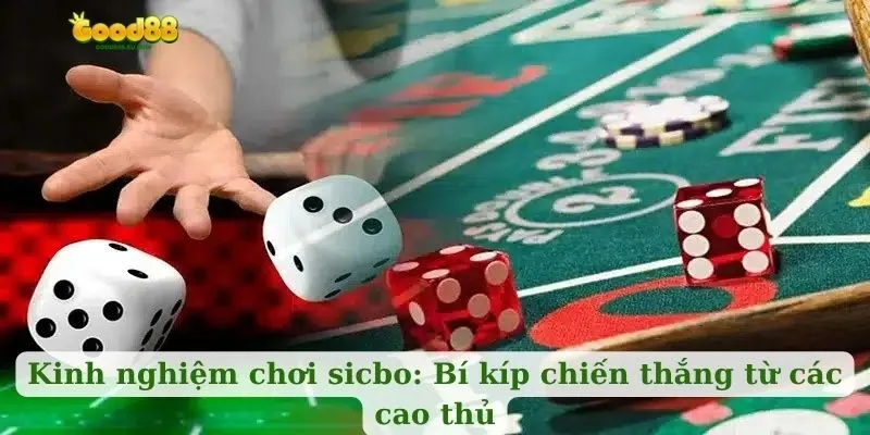 Kinh nghiệm chơi sicbo: Bí kíp chiến thắng từ các cao thủ