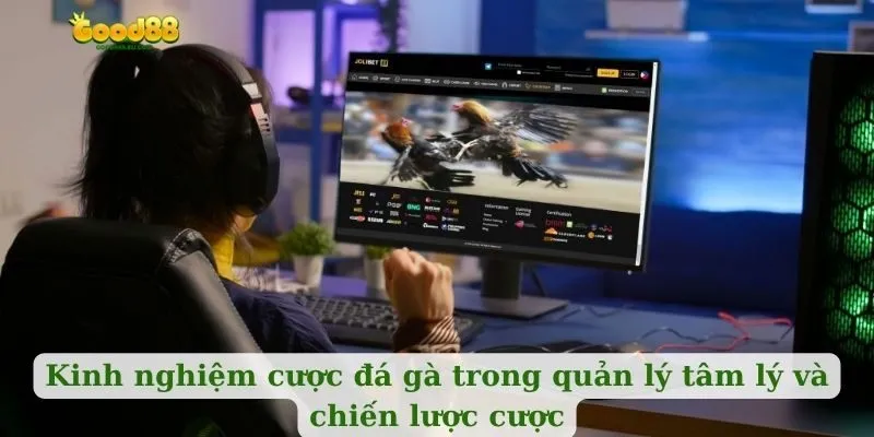 Kinh nghiệm cược đá gà trong quản lý tâm lý và chiến lược cược